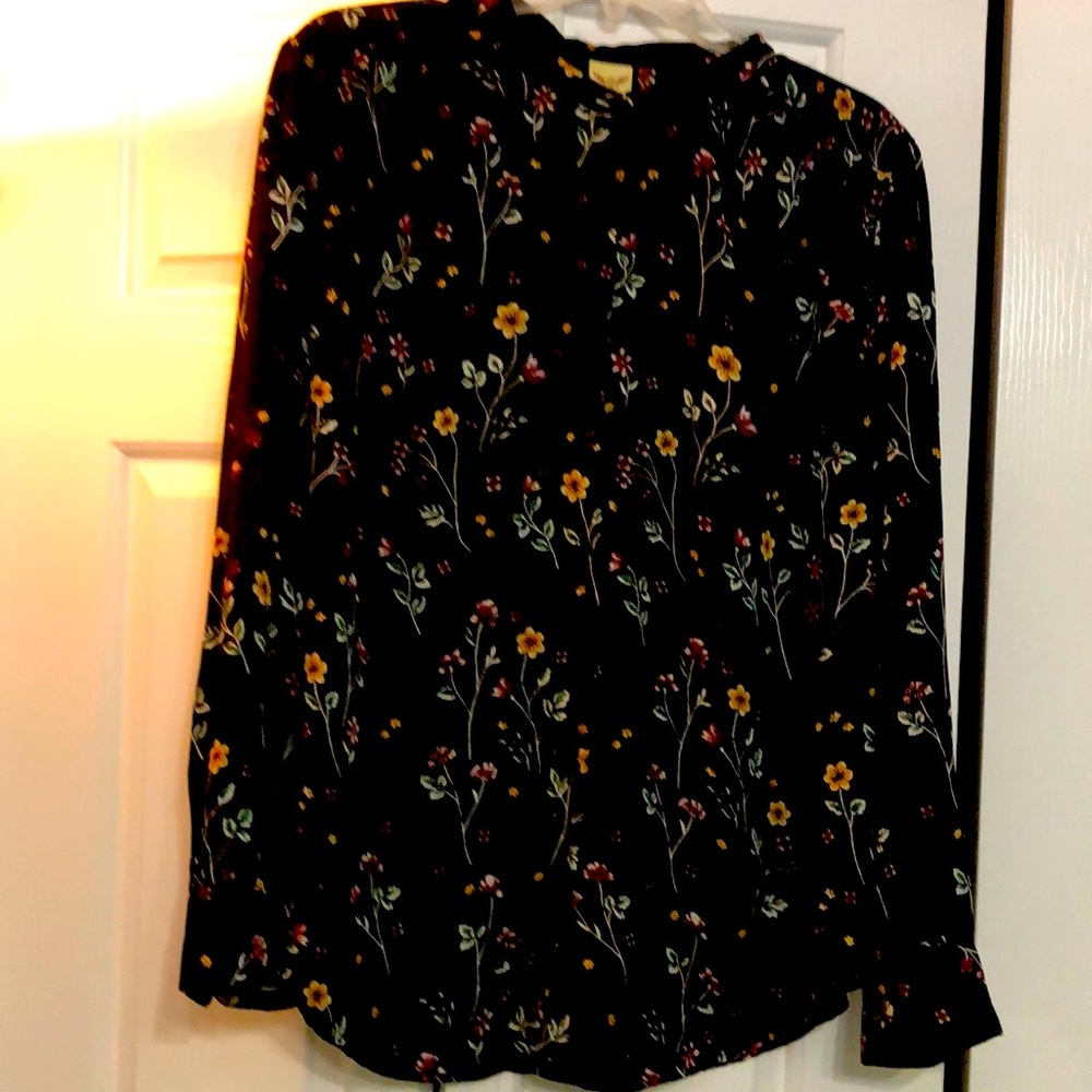 Ladies button down sheer top